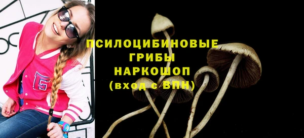 бошки Нея