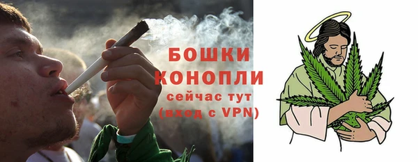 бошки Нея
