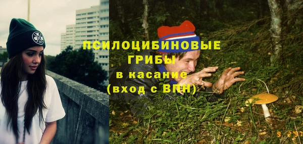 бошки Нея