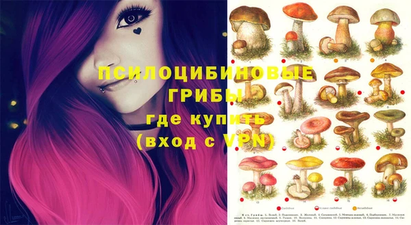бошки Нея