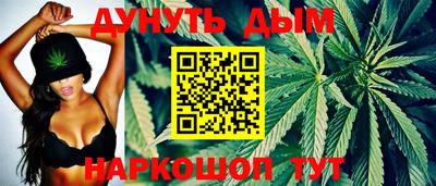 индика Заводоуковск