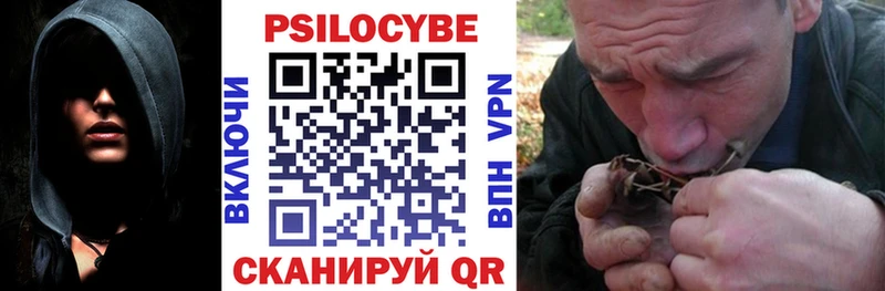 где купить   Магнитогорск  Псилоцибиновые грибы ЛСД 